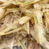 sugarcane bagasse
