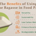 benefits of sugarcane bagasse
