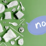 single-use-plastic-ban