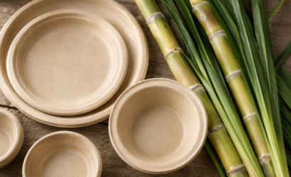 What Is Sugarcane Bagasse? The Complete Guide to Eco-Friendly Tableware
